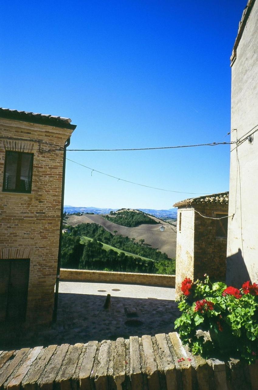 Agriturismo Pozzuolo Serrungarina Eksteriør billede
