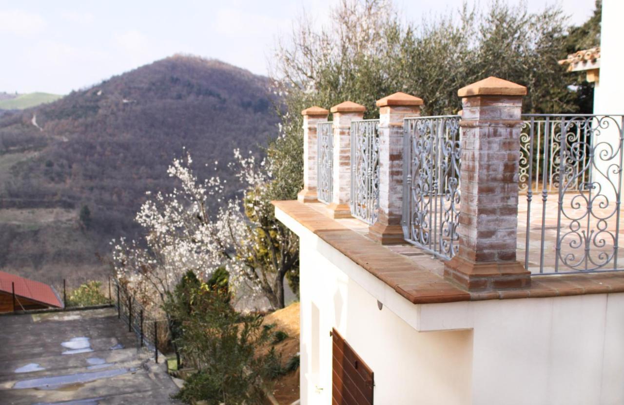 Agriturismo Pozzuolo Serrungarina Eksteriør billede